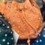 Campomaggi Italian Leather Bucket bag with studs Seccheiello Piccolo Strap Bucket bag in Apricot It #C039570ND/X0548/C3019